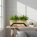 Handcrafted Mango Wood Rectangular Planter with Metal Stand – Modern Wooden Plant Pot for Indoor Plants | Decorative Tabletop Planter for Home, Office & Living Room Décor