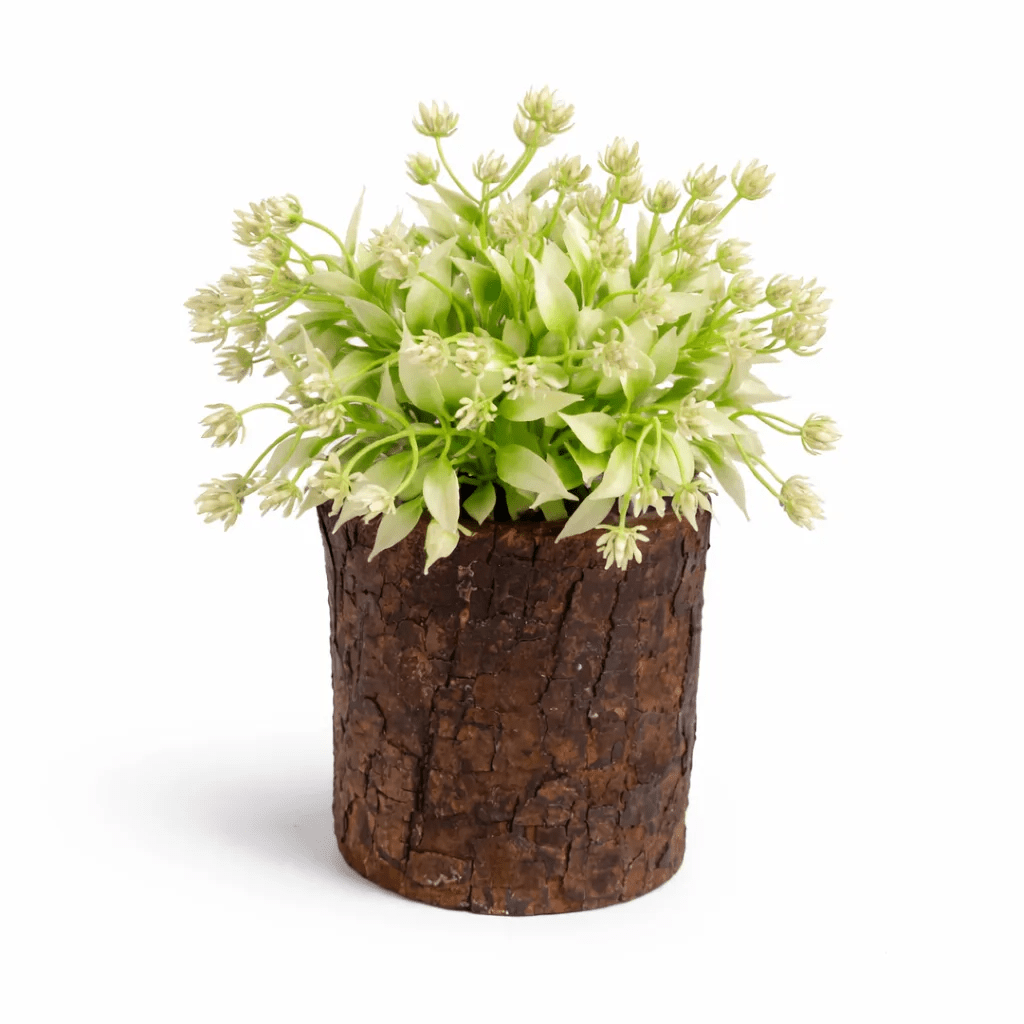 Rustic Wooden Flower Pot for Home Decor | Dark Brown Handcrafted Wooden Planter | Small Indoor Plant Holder for Desk, Table & Office Decor | 3.75 Inch