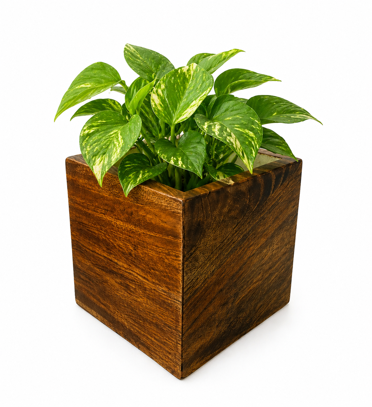 Wooden Planter Pot for Indoor Plants – Mango Wood Square Flower Pot with Water Resistant Lining, Handmade Decorative Plant Holder for Home & Office Décor (4.5 Inch)